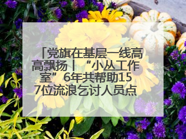 党旗在基层一线高高飘扬丨“小丛工作室”6年共帮助157位流浪乞讨人员点亮回家的灯